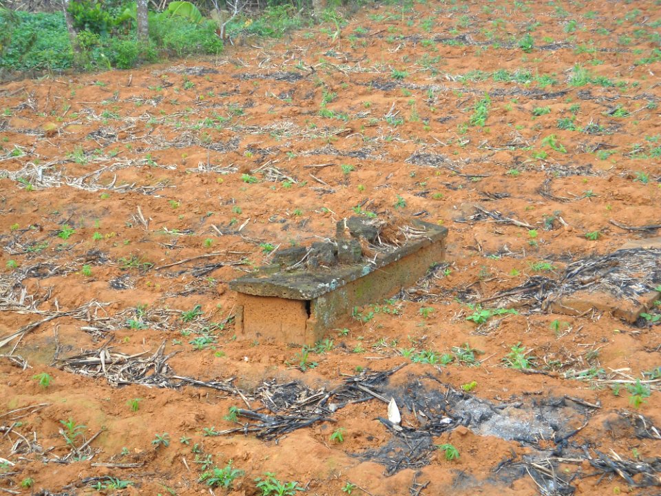 Grave in crop field in Hainan - 01