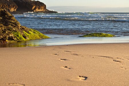 Sea nature coast
