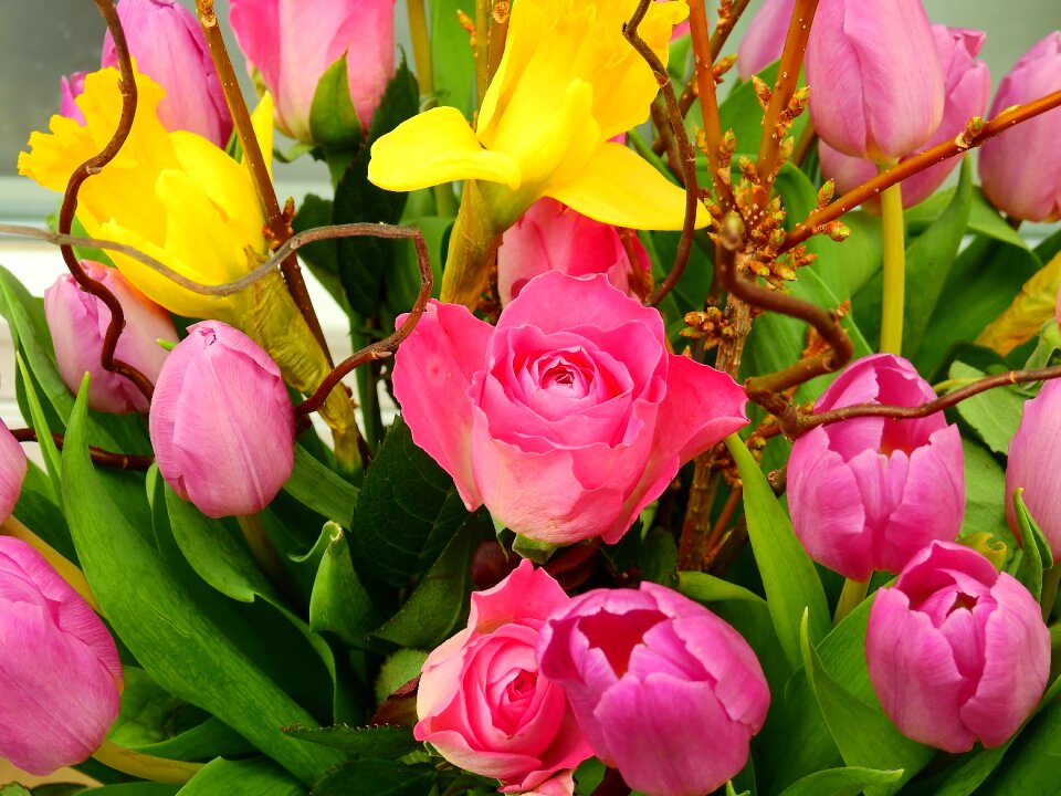 Blossom bloom bouquet
