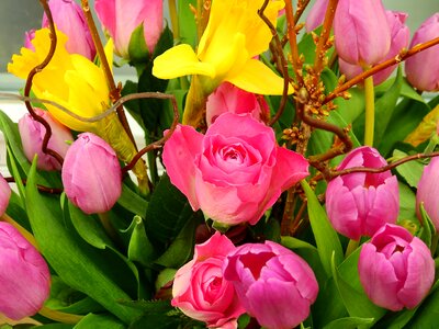 Blossom bloom bouquet