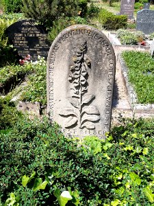 Granauer Friedhof HAL-Nietleben (6)
