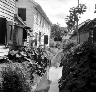 Gracht tussen huizen in Suriname, Bestanddeelnr 252-6234