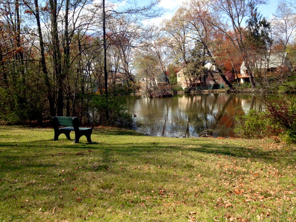Gracemere Lake Tarrytown NY 2015