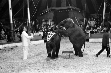 Grand Gala des Artistes , T. Kelling , Elizabeth Mooy, Bestanddeelnr 914-1410