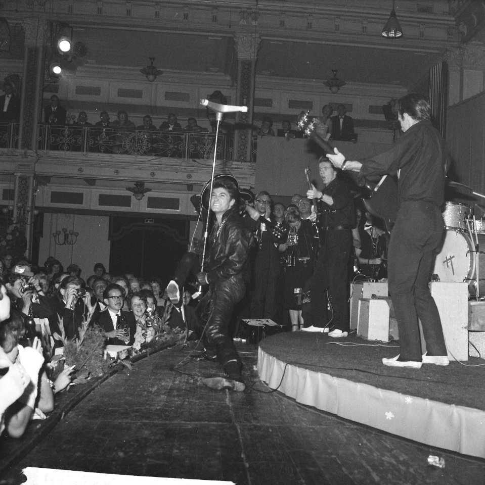 Grand Gala du Disque, Vince Taylor, Bestanddeelnr 914-3555