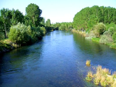 Gradefes - rio Esla