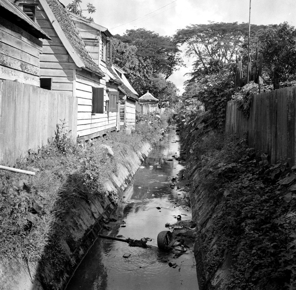 Gracht tussen huizen in Suriname, Bestanddeelnr 252-6233