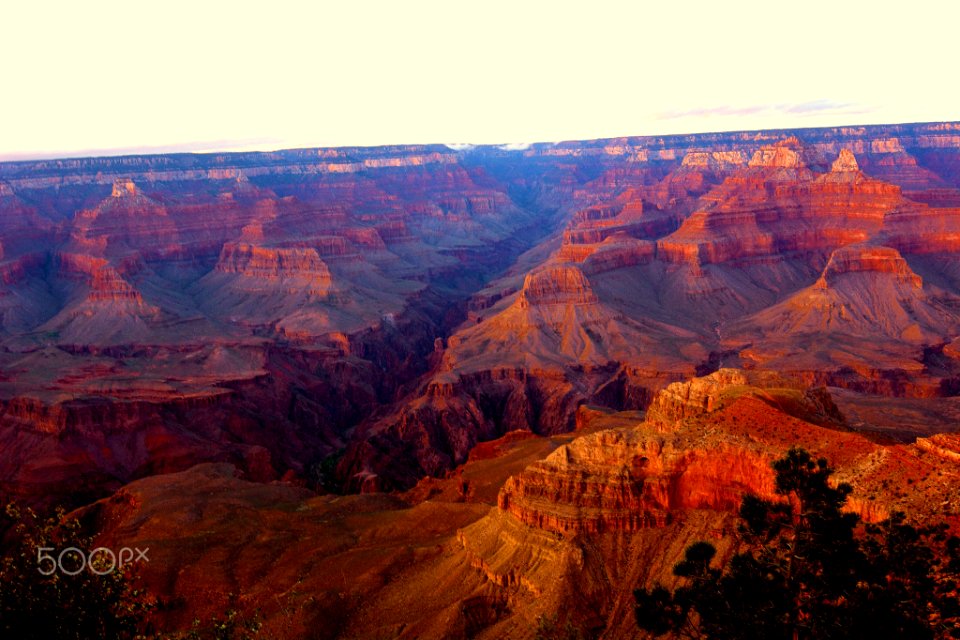 Grand Canyon (113461165)