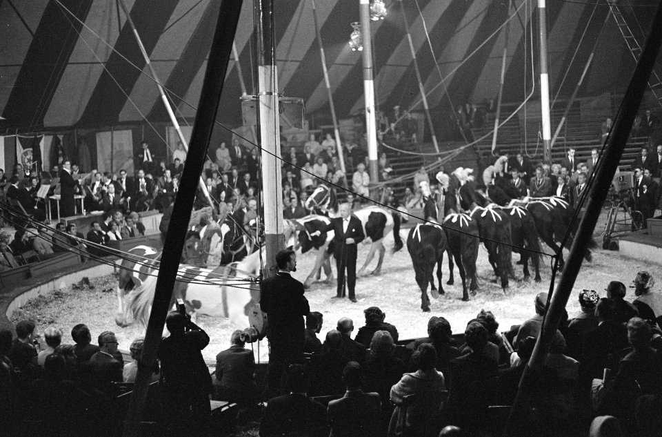 Grand Gala des Artistes, Bestanddeelnr 914-1379