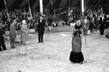 Grand Gala des Artistes , C. Adelaar , T. Kelling en P. Lutz, Bestanddeelnr 914-1411