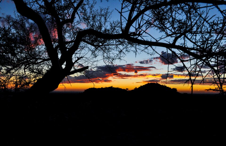 Landscape sky phoenix