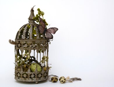Butterfly lantern hay