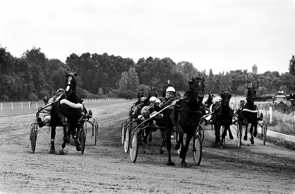 Grand Prix der Lage Landen op Duindigt Chaime Asserdal op weg naar de overwinni, Bestanddeelnr 929-7892