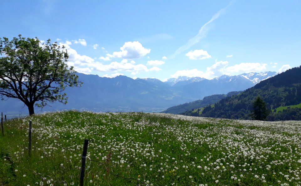 Grabserberg Liechtensteiner Berge