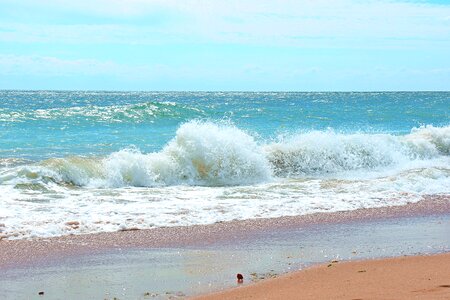 Sea foam waves the coast photo