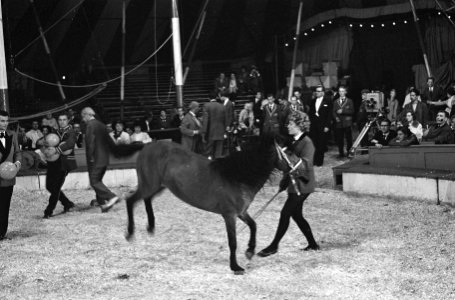 Grand Gala des Artistes , J. Stotijn , H. Joeks en Ansje Brandenburg, Bestanddeelnr 914-1416