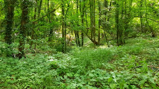Gronsveld-Groeve de Grote Hel (3)