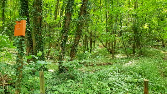 Gronsveld-Groeve de Grote Hel (5)