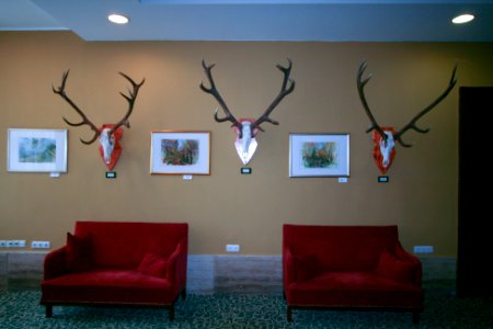 Grand Hotel Galya, foyer-2