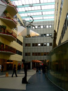 Groningen UMCG Ronald Tolman 01