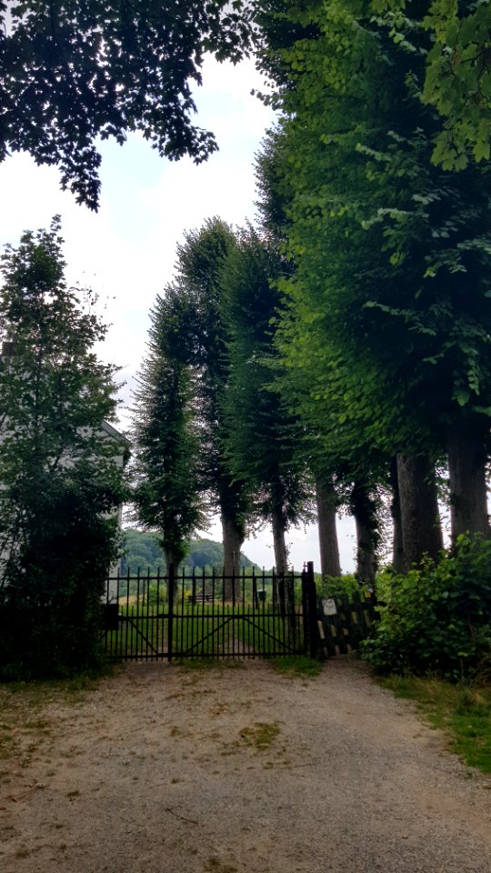 Gronsveld-Huis De Beuk (6)
