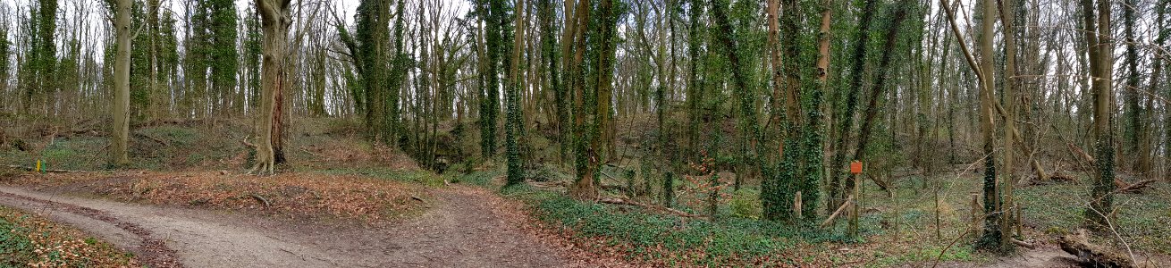 Gronsveld-Groeve de Hel (2)