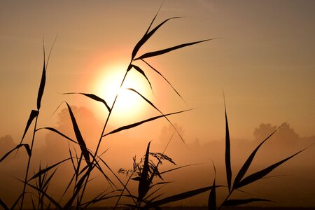 Autumn landscape morgenstimmung