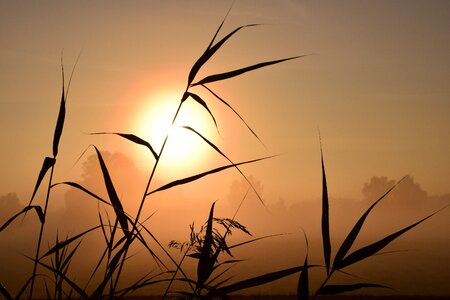 Autumn landscape morgenstimmung photo