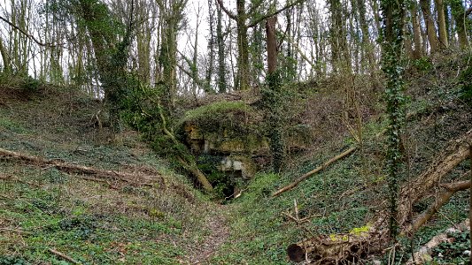 Gronsveld-Groeve de Kleine Hel (6)