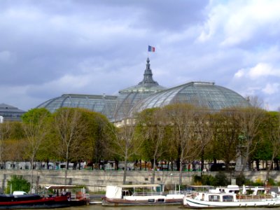 Grand Palais and Seine