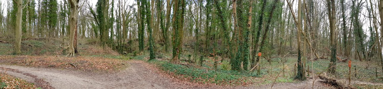 Gronsveld-Groeve de Hel (1)