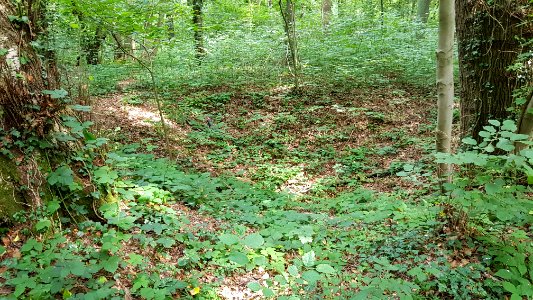 Gronsveld-Grote Dolekamer (1)