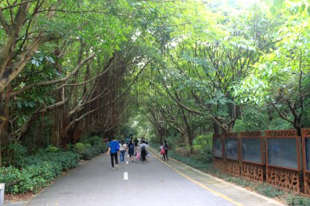 Greenway of Shenzhen International Garden and Flower Expo Park4