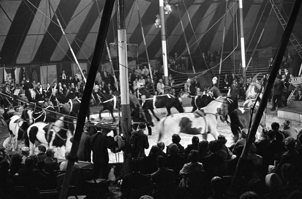 Grand Gala des Artistes , Theo Udenmasman, Bestanddeelnr 914-1419