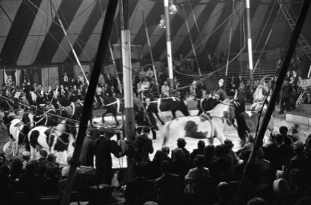 Grand Gala des Artistes , Theo Udenmasman, Bestanddeelnr 914-1419