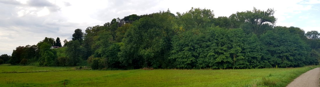 Gronsveld-Riesenberg met Dorregrubbe (11)