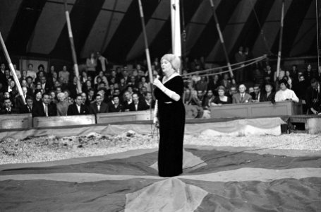 Grand Gala des Artistes , Cobo Kelling , A. Brandenburg, Bestanddeelnr 914-1405