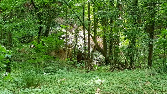 Gronsveld-Groeve de Grote Hel (4)
