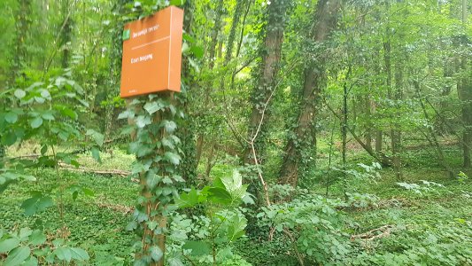Gronsveld-Groeve de Grote Hel (2)