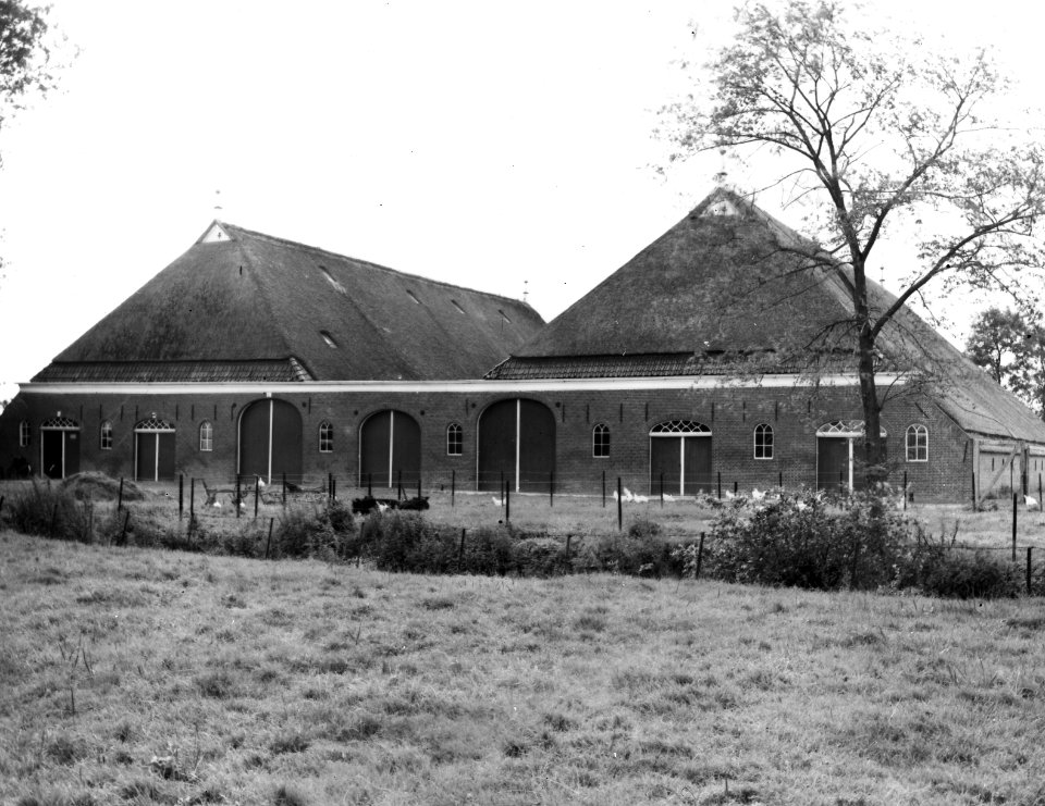 Groningse bouwboerderij bij Uithuizen, Bestanddeelnr 194-0791