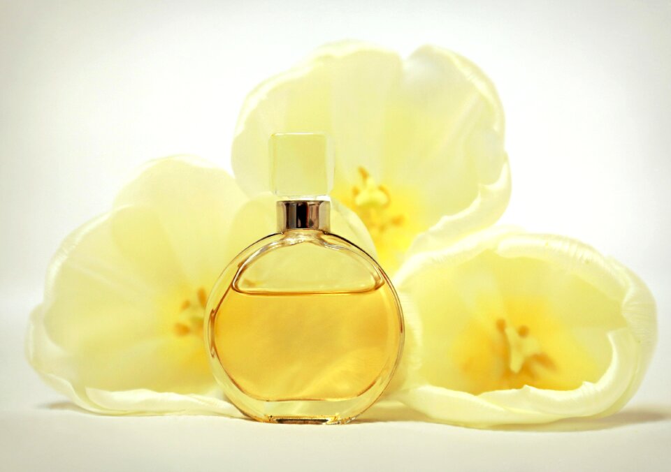 Aroma yellow chanel photo