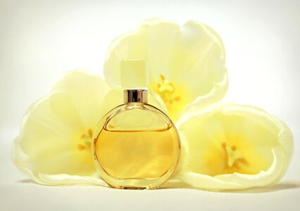 Aroma yellow chanel photo