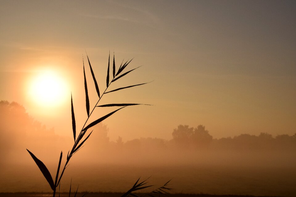 Sun mood morgenstimmung photo