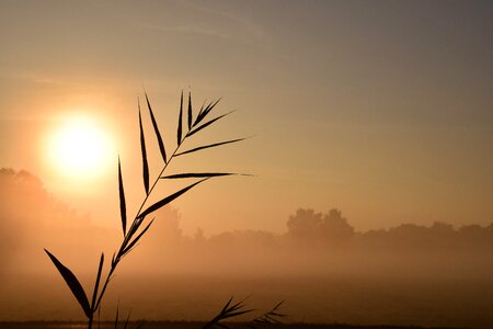 Sun mood morgenstimmung