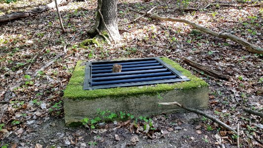 Gronsveld-Groeve op de Trichterberg I (2)