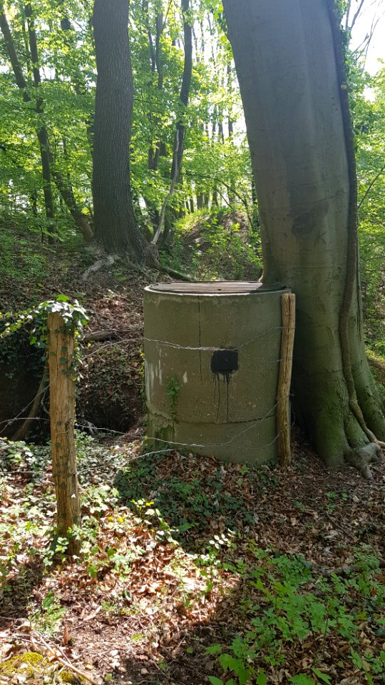 Gronsveld-Riesenberggroeve (luchtschacht) (2)