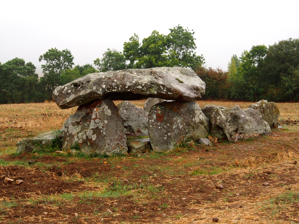 Groupe de Dolmens de Savatole, pic-008
