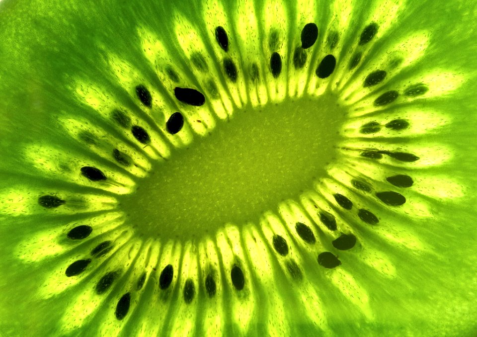 Growing Green (221123163)