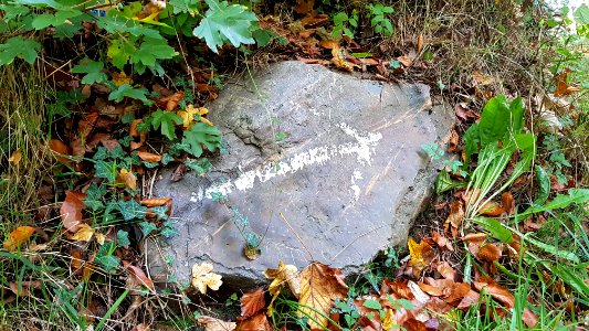 Gronsveld-Grindgroeve Savelsbos stenen kruising (15)