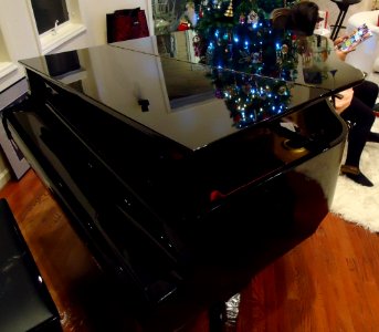 Grand piano with blue Xmas lights in reflection photo